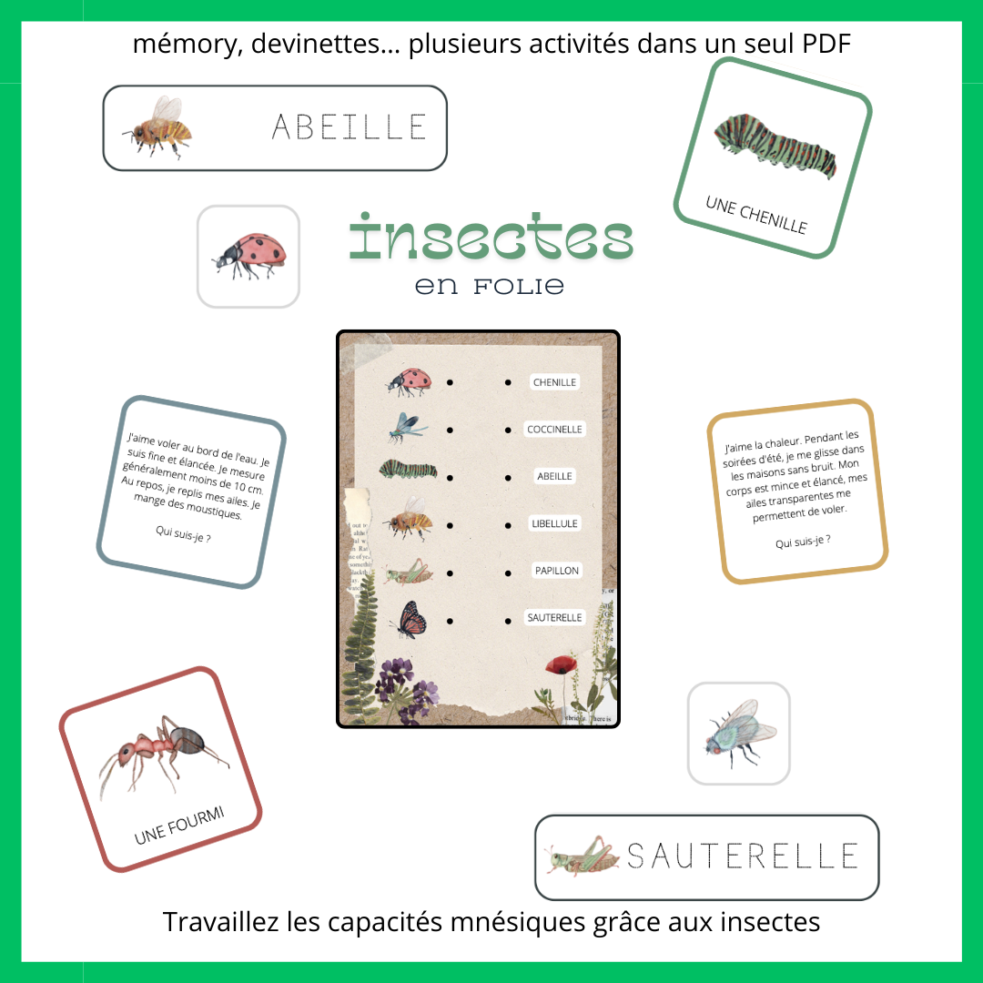 Boîte de Insectes en folie