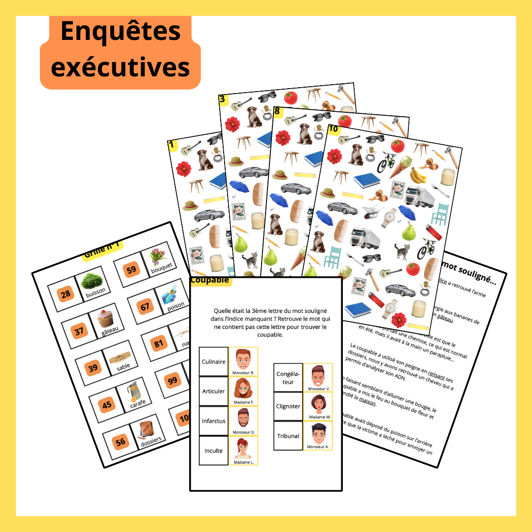Boîte de Enquêtes exécutives